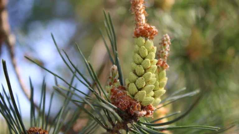 Let me take you for a walk … #edav #finow #flugplatzeberswalde #premier1 #beechcraft #rb-60 #aviationisourpassion #summer #finow #finowairservice #finowairbase #pilotslife #businessjet #businessaviation #generalaviation #aviation #aviationlovers🛩❤️ #jet #business